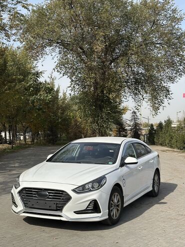купить авто хендай палисад: Hyundai Sonata: 2019 г., 2 л, Автомат, Газ, Седан