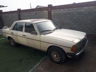 Mercedes-Benz: Mercedes-Benz W123: 1980 г., 3 л, Механика, Дизель, Седан