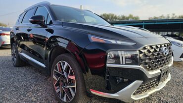 чехол для машына: Hyundai Santa Fe: 2022 г., 2.5 л, Бензин