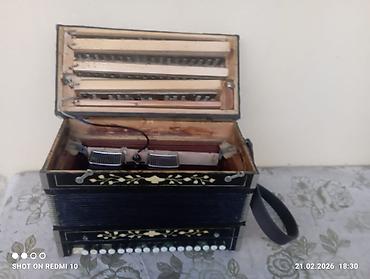 Akkordeonlar: Akustik Akkordeon — 8