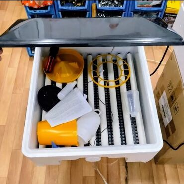 Digər quşlar: Smart-rejimli inkubatorlar satılır. Aparatlar tam olaraq avtomat, və — 20