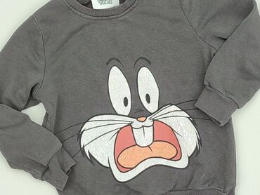 Sweatshirt, Disney, 3-4 years, 98-104 cm, condition - Perfect