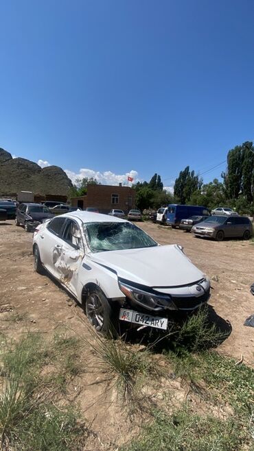купить запчасти опель омега б: Kia Optima: 2019 г., 2.4 л, Типтроник, Бензин, Седан
