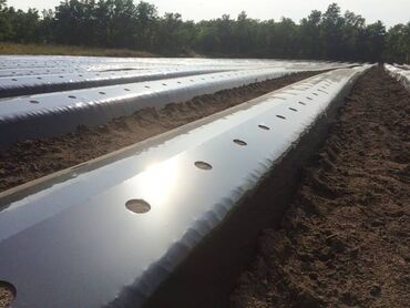 Другие товары для дома и сада: Пленка для мульчирования 30 микрон. Пленка для мульчирования 30 мкм — 5
