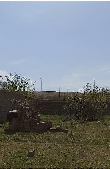 Torpaq sahələrinin satışı: 7 sot, Tikinti, Kupça (Çıxarış) — 9