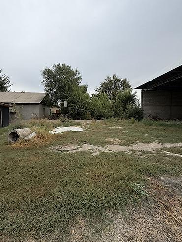 Коммерческая недвижимость: 📍 В Беловодске в селе Садовое по первой линии продается бизнес объект — 5
