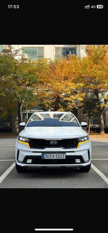 Kia: Kia Sorento: 2020 г., 1.6 л, Гибрид, Кроссовер — 7