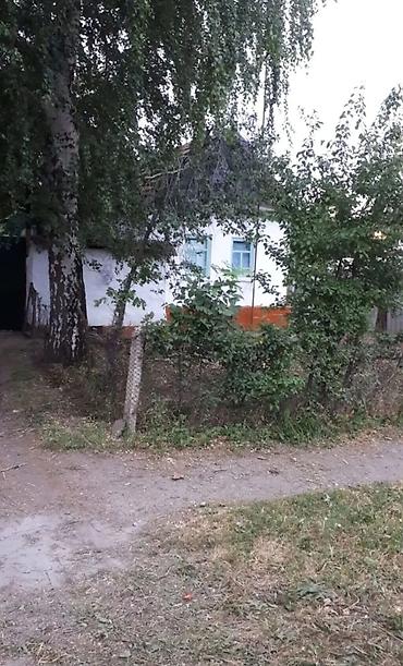 дом ананьево: Продаю дом Джаильский район с.Сосновка по трассе Бишкек Ош участок 30 — 7