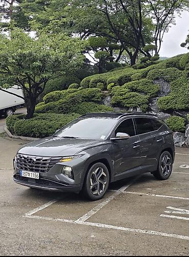 хендай туксон: Hyundai Tucson: 2022 г., 1.6 л, Автомат, Бензин, Кроссовер — 1