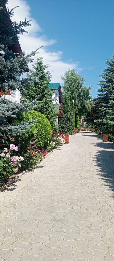 Иссык-Куль 2025: Коттедж, Каприз
ЦО ЦО Каприз, Чолпон-Ата, Охраняемая территория — 19