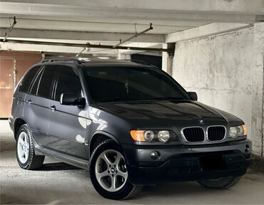 BMW: BMW X5: 2003 г., 3 л, Автомат, Бензин, Внедорожник