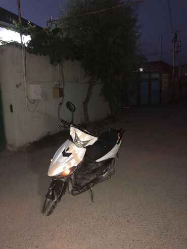 - TÜLKÜ GÖZ, 50 см3, 2021 год