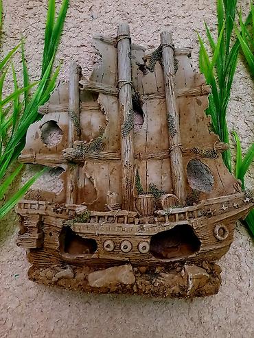 Рыбы: Продам растения и гроты для аквариума в хорошем состоянии,цена указана — 2