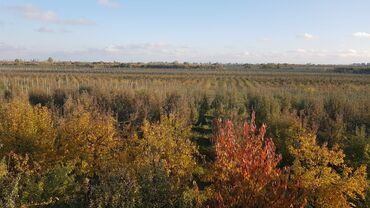 Torpaq sahələrinin satışı: 1000 sot, Kənd təsərrüfatı, Makler, Kupça (Çıxarış) — 9