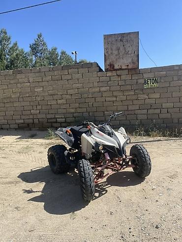 mini atv: Kayo - A 300, 320 sm3, 2022 il, 2000 km — 2