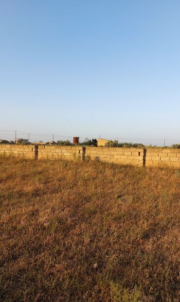 Torpaq sahələrinin satışı: 5 sot, Tikinti, Mülkiyyətçi, Kupça (Çıxarış) -da lalafo.az — 4 Torpaq sahələrinin satışı: 5 sot, Tikinti, Mülkiyyətçi, Kupça (Çıxarış) — 4