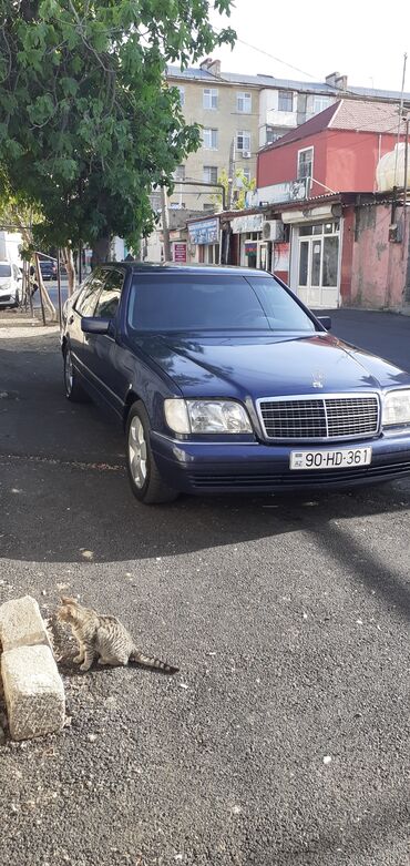 mercedes benz 208 d: Mercedes-Benz S 300: 3 л | 1997 г. Седан