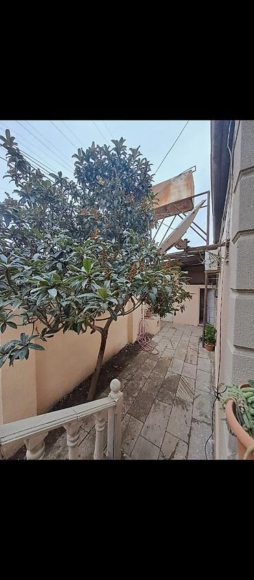 Həyət evləri və villaların satışı: 4 otaqlı, 100 kv. m, Yeni təmirli — 9