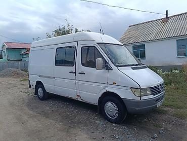 c class w204: Mercedes-Benz Спринтер: 1996 г., 2.9 л, Механика, Дизель, Фургон — 6