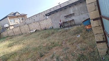 binə mehriban qonşular: 10 sot, Tikinti, Mülkiyyətçi, Kupça (Çıxarış) — 3