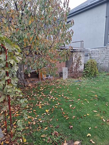 Продажа коттеджей и домов: Продаем дом. участок 5,5. красная книга. Угол Буденного и Фрунзе. 3 — 8