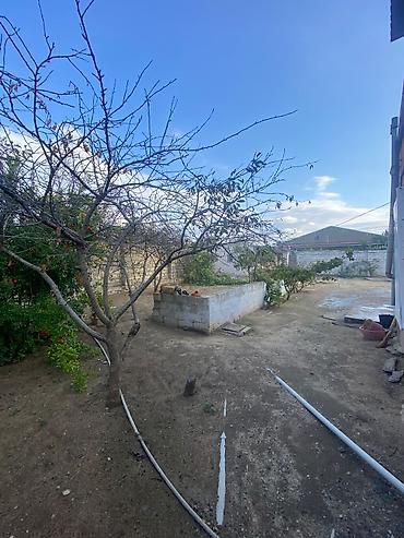 Torpaq sahələrinin satışı: 20 sot, Tikinti, Mülkiyyətçi, Kupça (Çıxarış) — 5