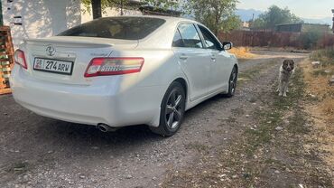 машина дишовый: Белый седан Toyota Camry с тонированными задними стеклами. Автомобиль