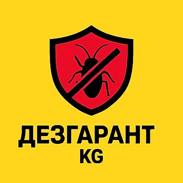 Клининговые услуги: Дезинфекция, дезинсекция, | Блохи, Вирусы, микробы, Клопы, | Квартиры, Подвал, погреб, Подъезды — 2