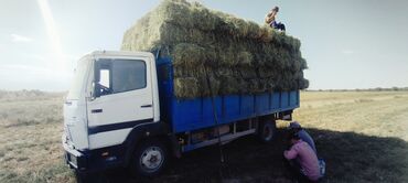 тачка садовая: Услуга: перевозка и доставка тюков сена/зелёной массы на бортовом