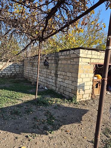 Həyət evləri və villalar: 14 sot torpaq sahesinin içinde yaşayışlı ev köhnə tikili 2yataq otaq 1 — 6