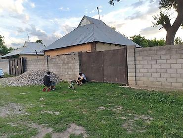 садовое дом: Панфиловский район Село Чалдовар участок 8 соток школа рядом до — 7