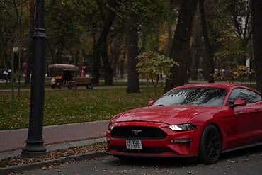 ford rapter: Ford GT: 2018 г., Автомат, Бензин, Купе — 3
