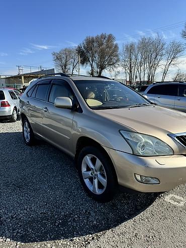 Lexus: Lexus RX: 2004 г., 3.3 л, Автомат, Газ, Кроссовер — 9