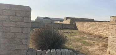 nardaran torpaq: Şəhərin kənarında, kənddə yerləşən geniş torpaq sahəsi. Sahənin ətrafı