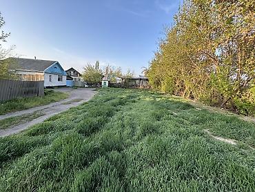 в городе кант: 13 соток, Красная книга — 3