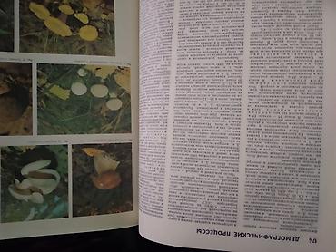 Медтовары: Медицинская Энциклопедия. кожаный переплет, большой формат, 700 стр — 6