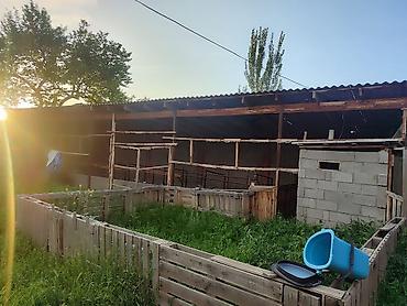 сдаю дом гоин: Дом с двором и постройками - Кирпичный одноэтажный дом с несколькими — 5