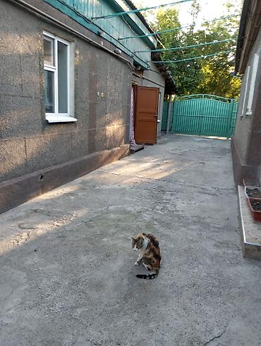 свердловский: Продаю дом с.Ниж.Аларча (Свердловский район г.Бишкек) на первой линии — 3