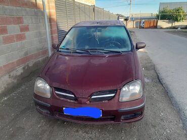 аренда авто ниссан: Nissan Almera Tino: 2002 г., 1.8 л, Механика, Бензин, Вэн/Минивэн