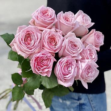 Роза: Саженцы — 11