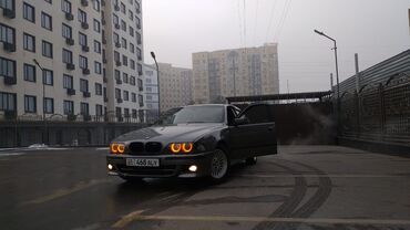 дворники бмв: BMW 5 series: 2002 г., 3 л, Типтроник, Бензин, Седан