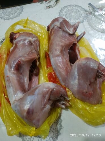цена мишки на день рождения: Свежее мясо крольчатина,две тушки1300 и 1500 с