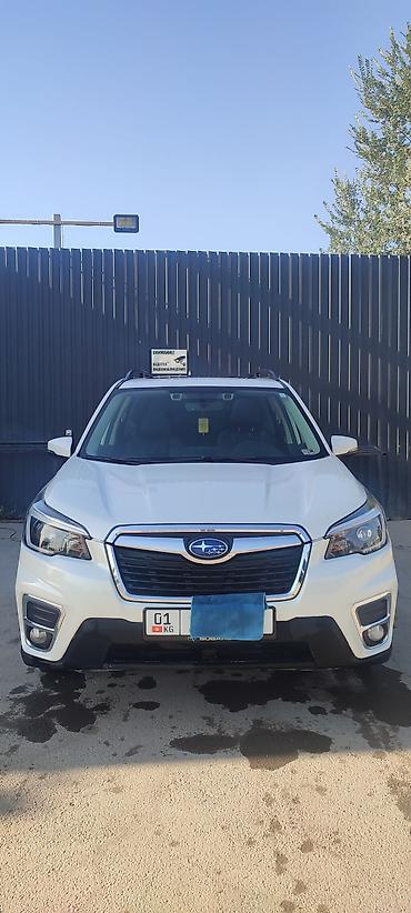 outback wilderness: Subaru Forester: 2021 г., 2.5 л, Вариатор, Бензин, Кроссовер — 1