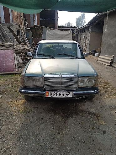 w12: Mercedes-Benz W123: 1983 г., 3 л, Дизель, Седан — 2