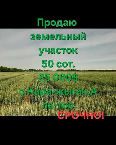 кен сай пост: 50 соток, Для сельского хозяйства — 1