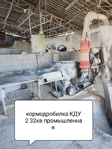 Продажа коттеджей и домов: Продам очень большой благоустроенный дом 250кв м жилая площадь — 12