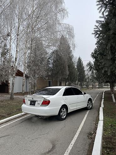 Toyota: Toyota Camry: 2004 г., 2.4 л, Автомат, Бензин, Седан — 4