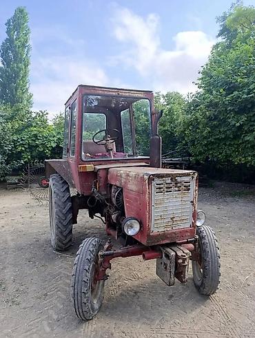 015 maşını: Traktor Belarus (MTZ) T-25 1985 il, 25 at gücü, motor 1.5 l, İşlənmiş — 2
