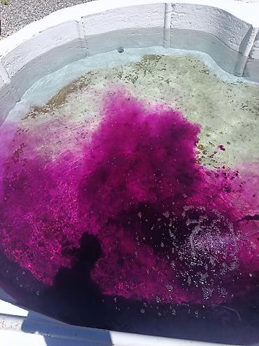 суу химия: Фират калия для обработки водоемов и рыбы в водоемах — 4