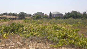 Torpaq sahələrinin satışı: 32 sot, Tikinti, Maklerlər narahat etməsin, Kupça (Çıxarış) — 9